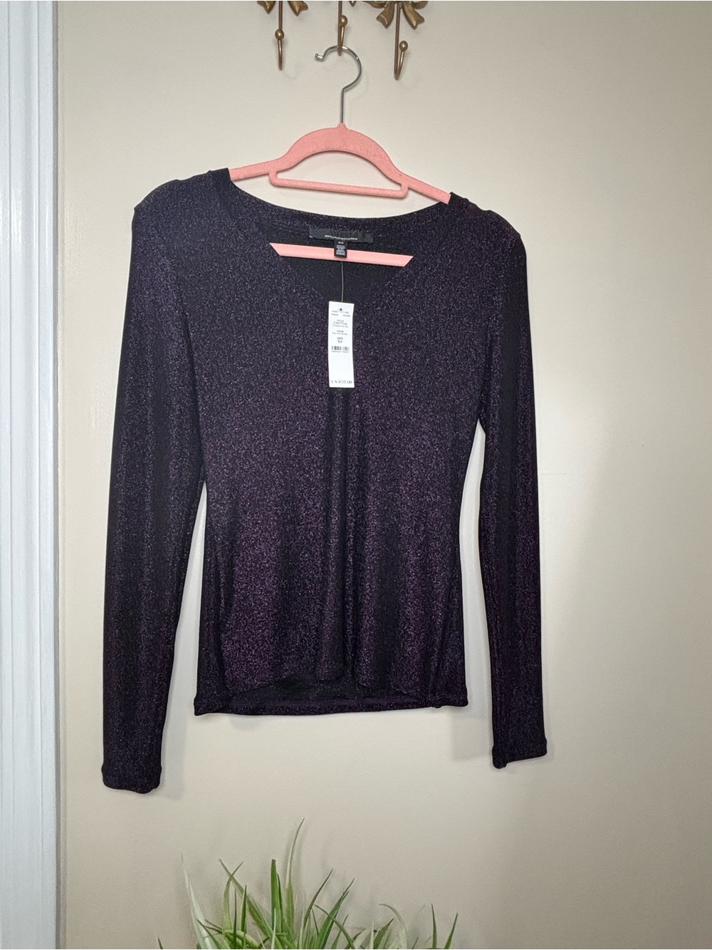 Express Shimmery Plum Long-Sleeve Top